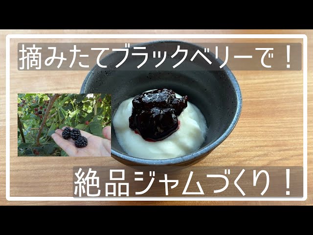 118 無添加！ブラックベリーの自家製ジャムの作り方 - YouTube