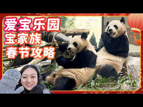 Best New Year Everland Bao Family Schedule Revealed! - YouTube