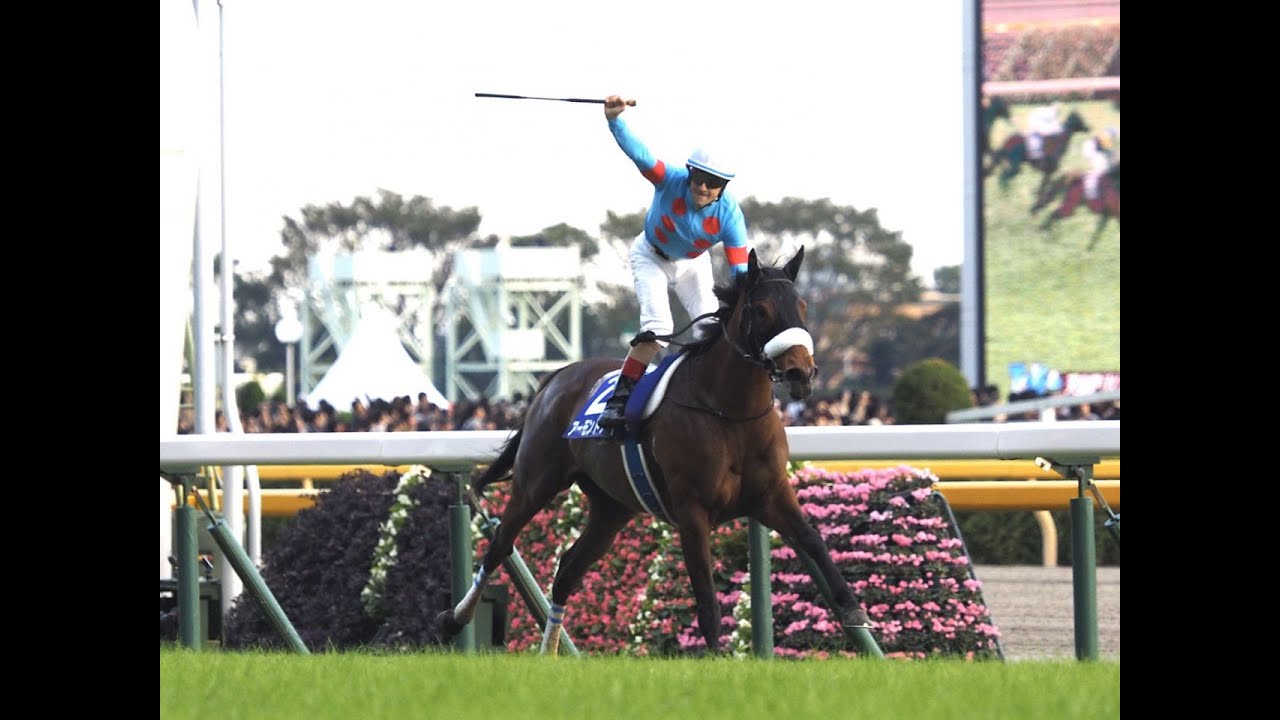 アーモンドアイミニゼッケン2019天皇賞・秋 ルメール騎手直筆サイン