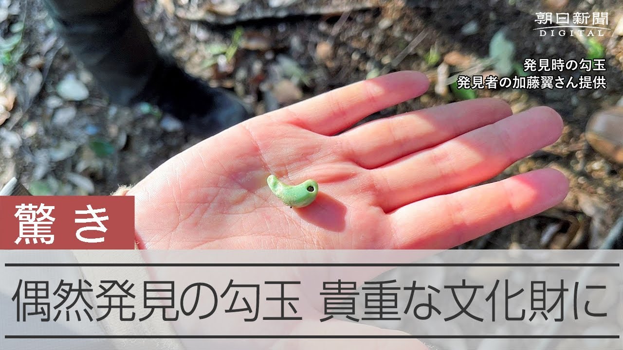 偶然発見した勾玉が文化財に 和歌山で古墳めぐりの最中に - YouTube