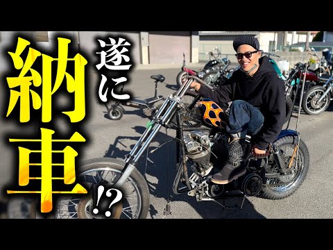 This is amazing] A truly amazing evolution! That completely