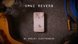 Keeley Electronics Omni Reverb (demo) - YouTube