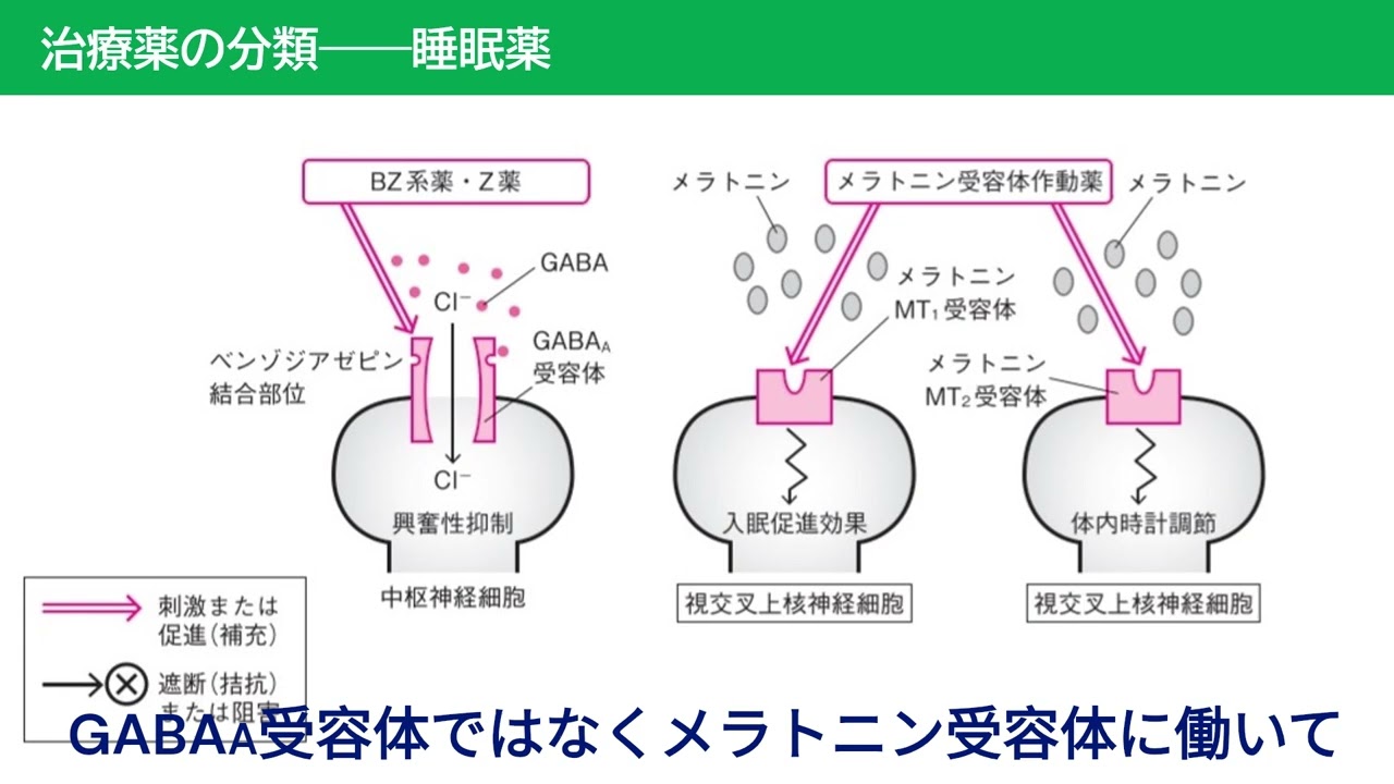 音声解説｜治療薬ハンドブック2025［睡眠薬・抗不安薬（前編