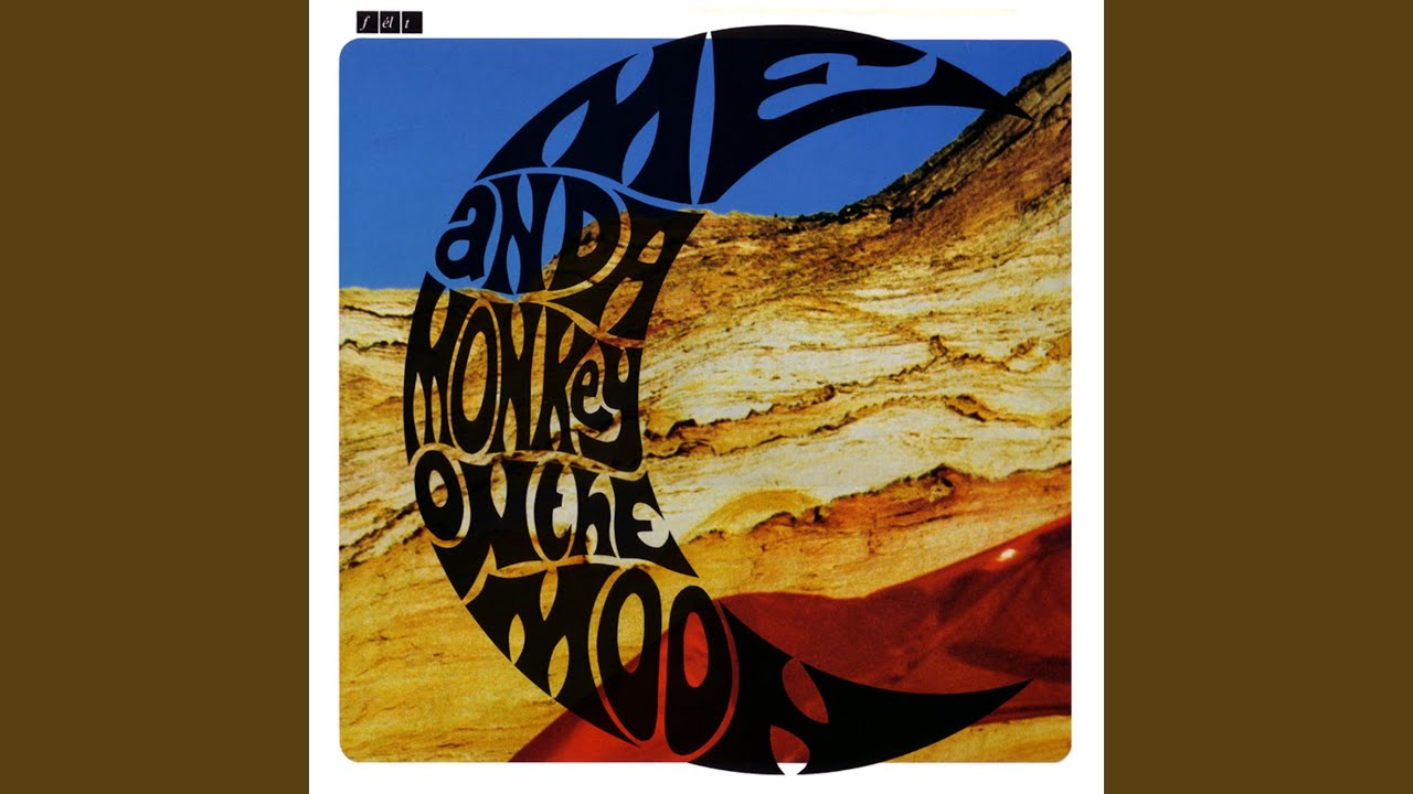 ME AND A MONKEY ON THE MOON (LP/REMASTERED/LTD)/FELT/フェルト/10枚