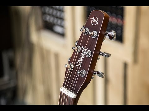 Seagull Entourage Autumn Burst QIT - Acoustic Review - YouTube