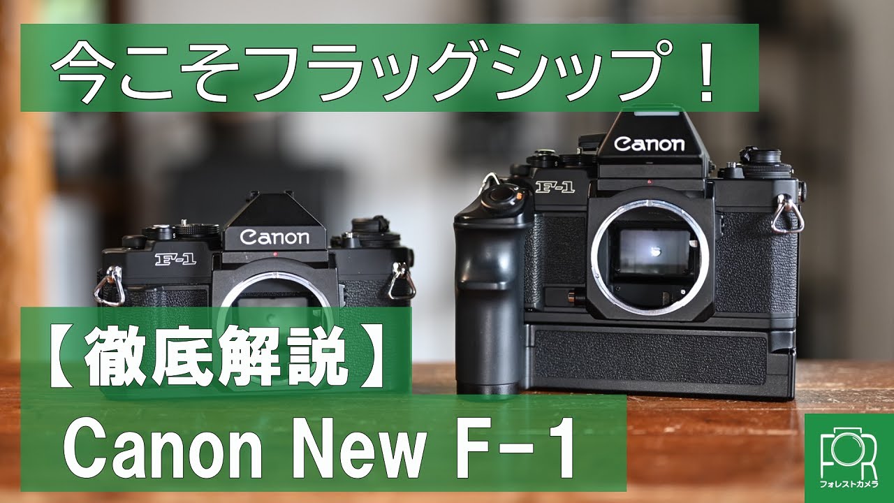 動作確認済】 Canon F-1 F1010-182-6v y 動作確認済】 Canon F-1 F1010