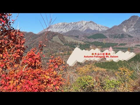 絶景！鬼女台・鍵掛峠展望台から見る大山と紅葉」20241110 - YouTube