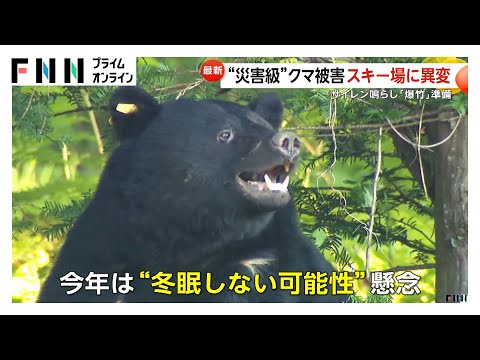 災害級”クマ被害スキー場に異変も「安心して滑れる」もしものため