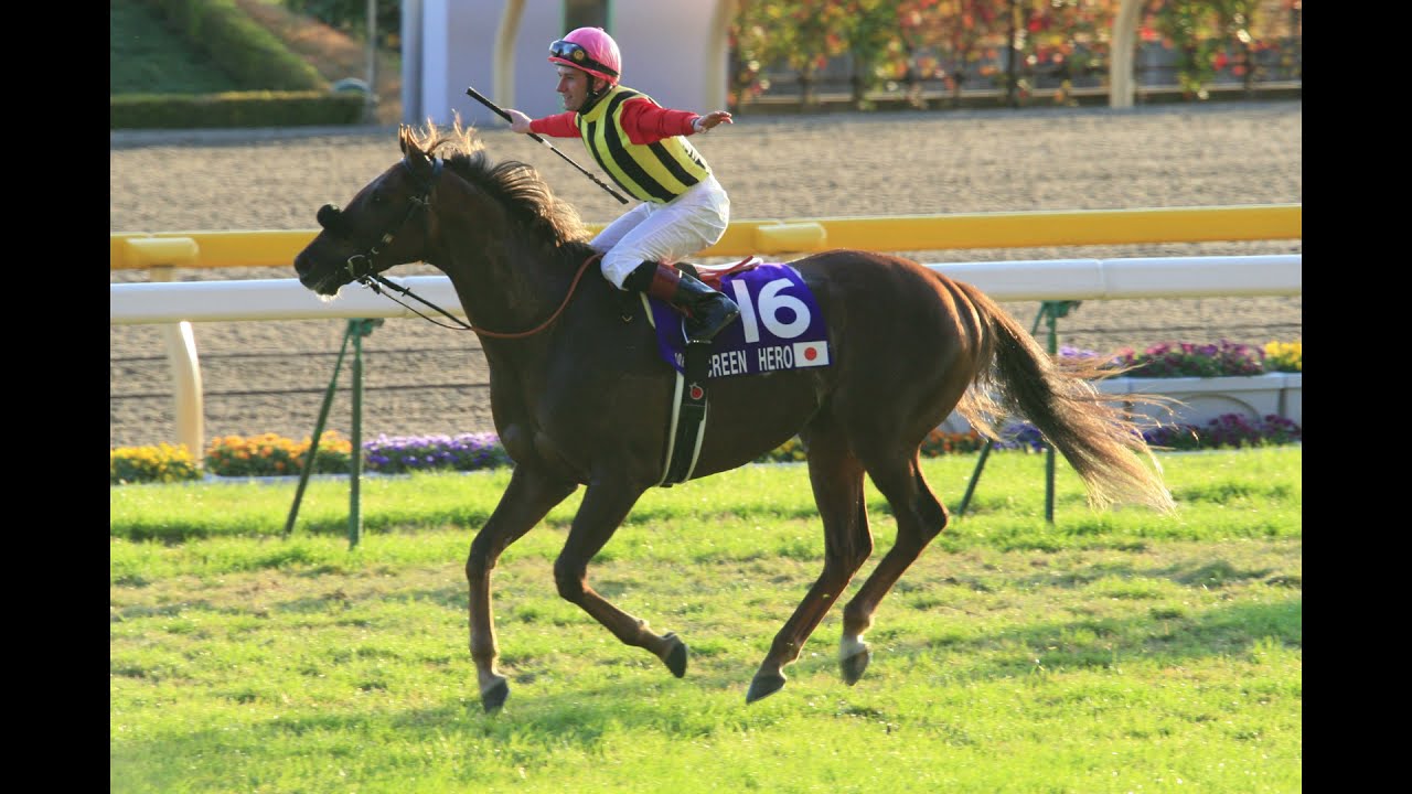 08年ジャパンカップ】スクリーンヒーロー ダービー馬3頭を破る会心の