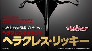ヘラクレスオオカブト・ヘラクレス・リッキー』いきもの大図鑑