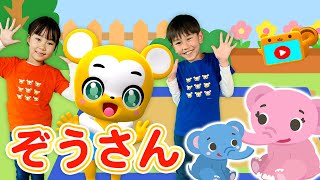 うた】ぞうさん〈振り付き〉【こどものうた・童謡・手遊び・キッズ