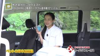 ポータブル温冷庫 【車載用温冷蔵庫】COLDKING(コールドキング) 12L AC
