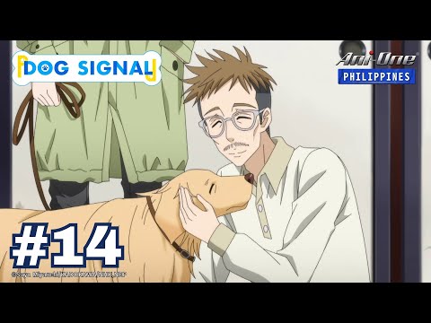 Dog Signal - YouTube
