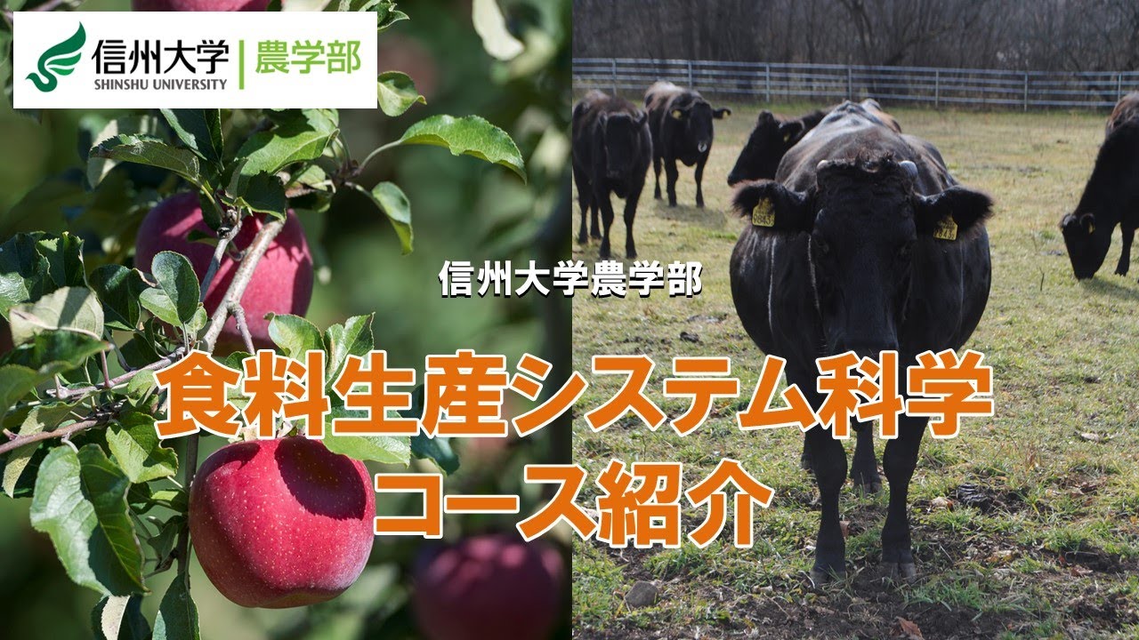 農学部/2025年4月 コース再編】食料生産システム科学コース - YouTube