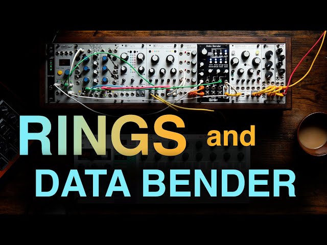 Mutable Instruments RINGS meets Qu-Bit Electronix DATA BENDER
