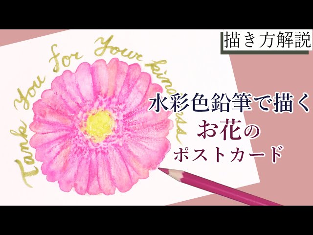 Watercolor pencils] Draw a gerbera illustration postcard! Easy and