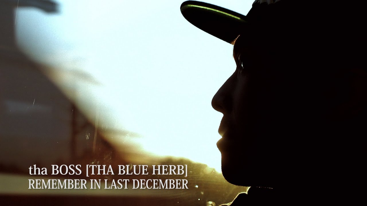 WENOD RECORDS : tha BOSS (THA BLUE HERB) - IN THE NAME OF HIPHOP