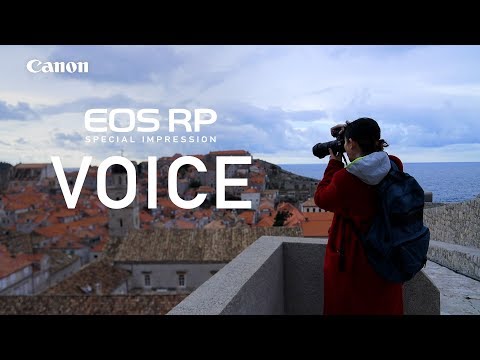 Canon EOS RP ボディー 新品｜フジヤカメラ