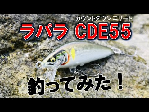 ラパラ「カウントダウン エリート（CDE55）」で釣ってみた - YouTube