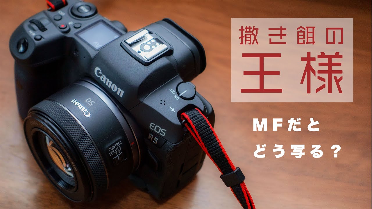 撒き餌レンズの王様 Canon RF50mm F1.8 STM をただマニュアル