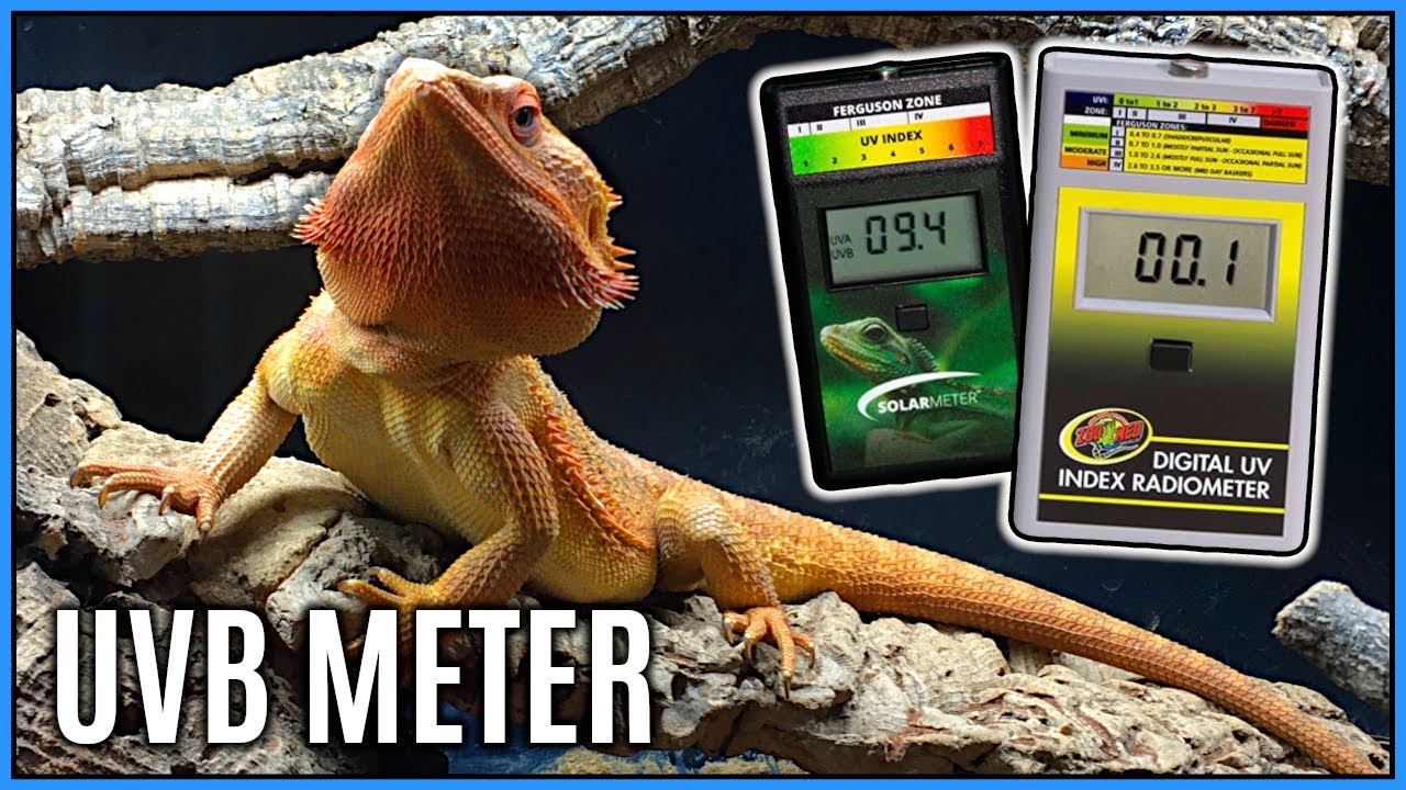 Zoo Med Digital UV Index Radiometer - YouTube