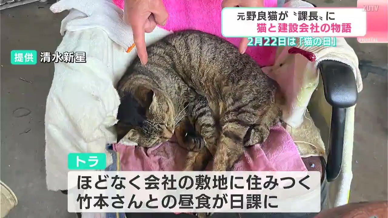 Seven years have passed since the day he shared his lunch box side