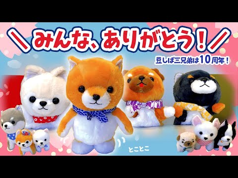 10周年】豆太郎からみんなへ【豆しば三兄弟】 - YouTube