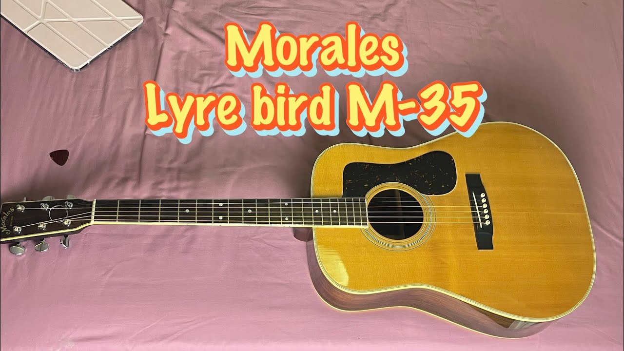 Morales Lyre Bird M-18 Japan 1980s : รีวิว - YouTube