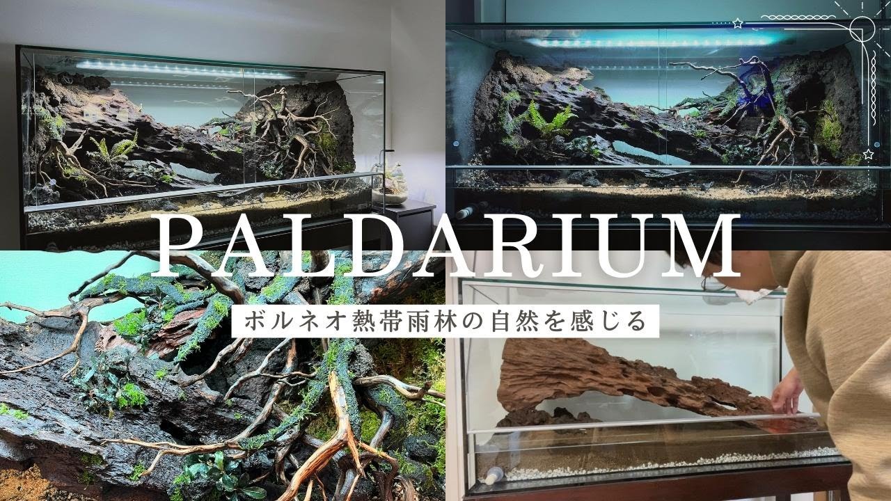 The pinnacle of interior design] The charm of the 