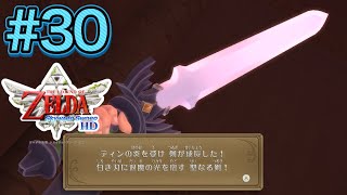ついにマスターソードを手に入れたのか！？ #30【ゼルダの伝説スカイ