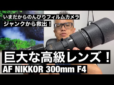 ジャンク】af nikkor 300m f1.4 ジャンク】af nikkor 300m f1.4