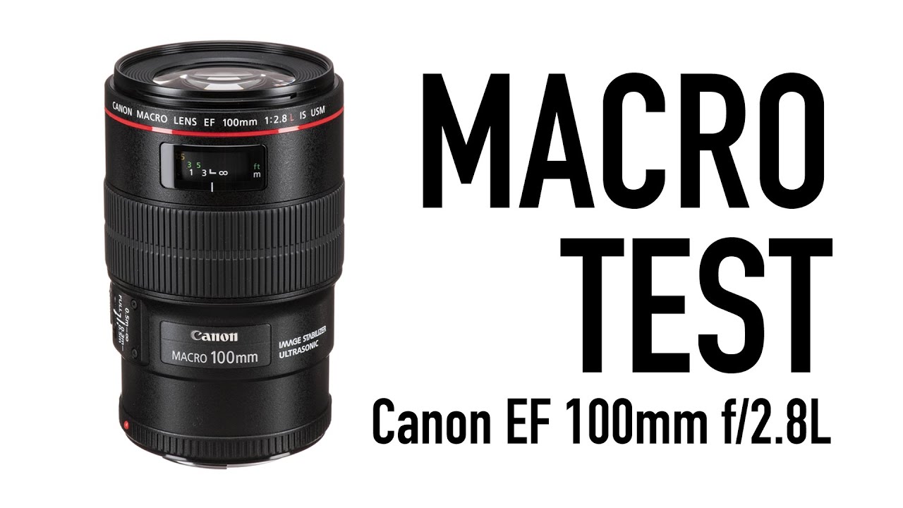 Canon EF 100mm f/2.8L Macro Lens Test - YouTube