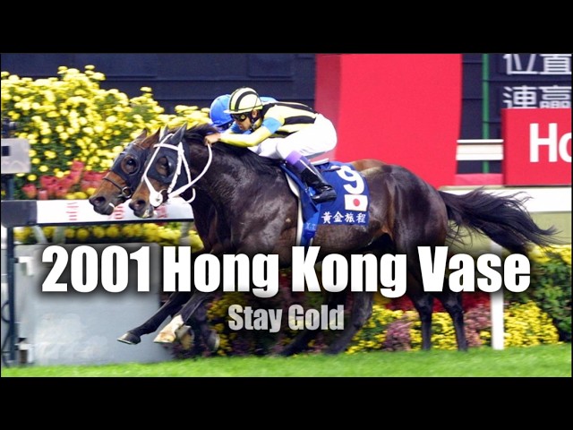 Hong Kong Vase 2001 Stay Gold Eng Sub - YouTube