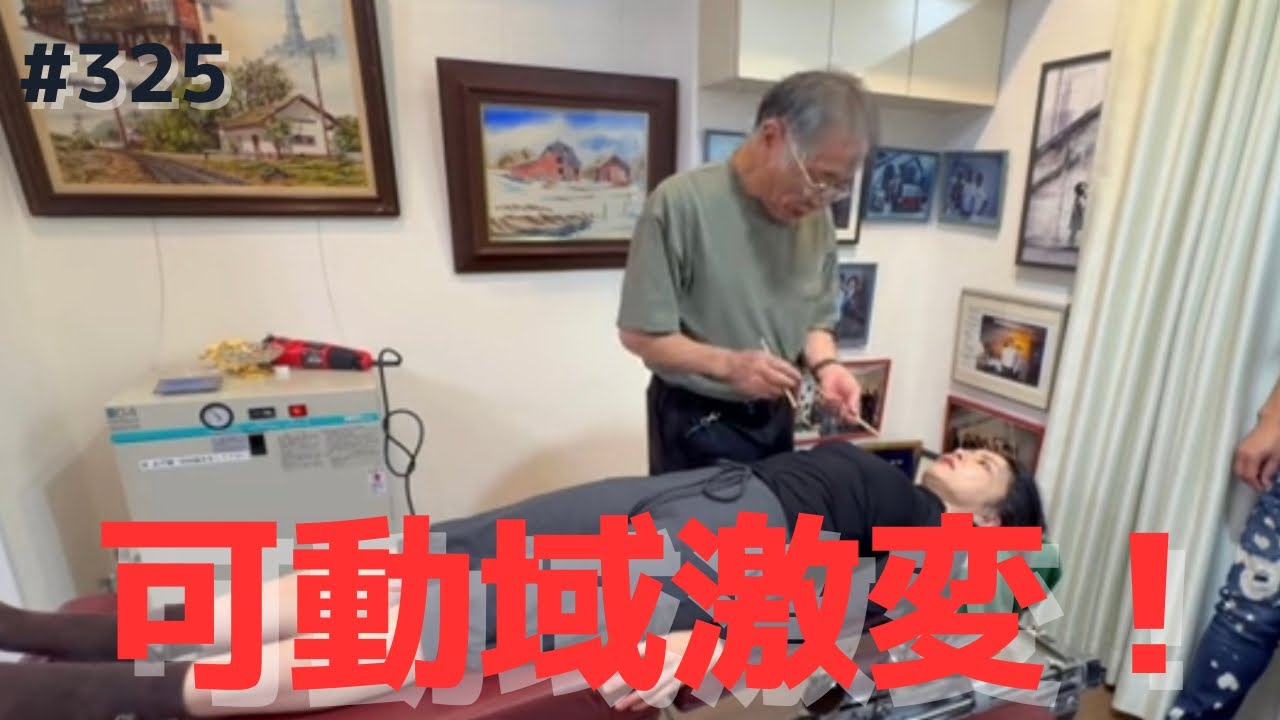 Chiropractic Technique 第三版 カイロ！整体！鍼灸！英語