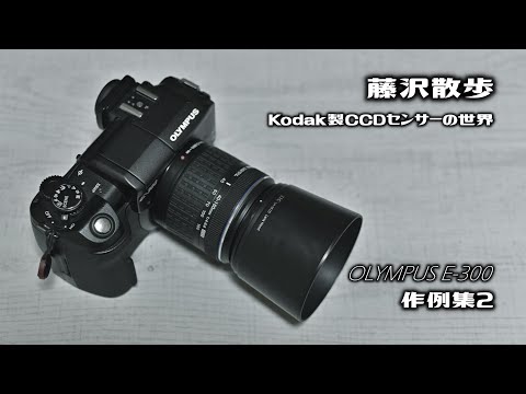OLYMPUS（オリンパス）E-300 作例集2『藤沢散歩 ～Kodak製CCDセンサー