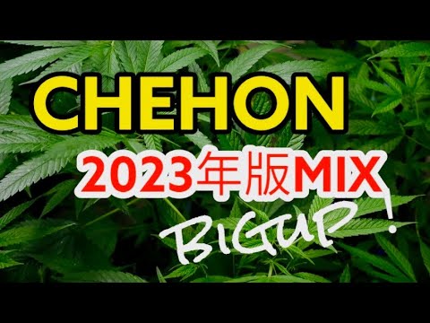 chehonメドレーチェホンmix2023年版】かっこいいジャパレゲ - YouTube