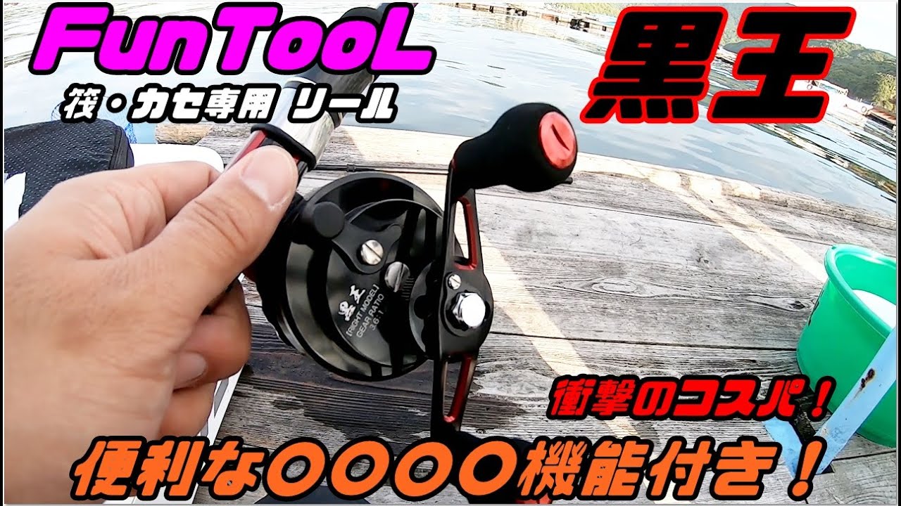 The best value reel ever!!! - YouTube