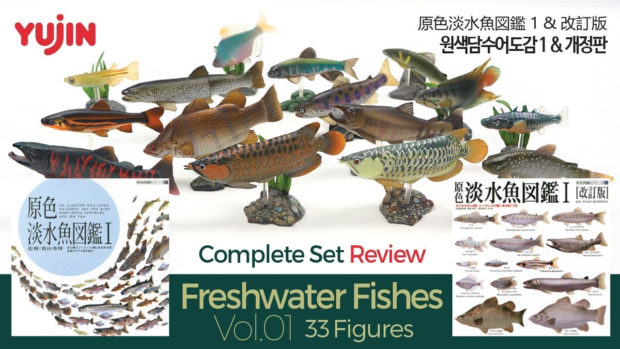 33 Various Freshwater Fishes / 原色淡水魚図鑑 I & 改訂版 / 유진