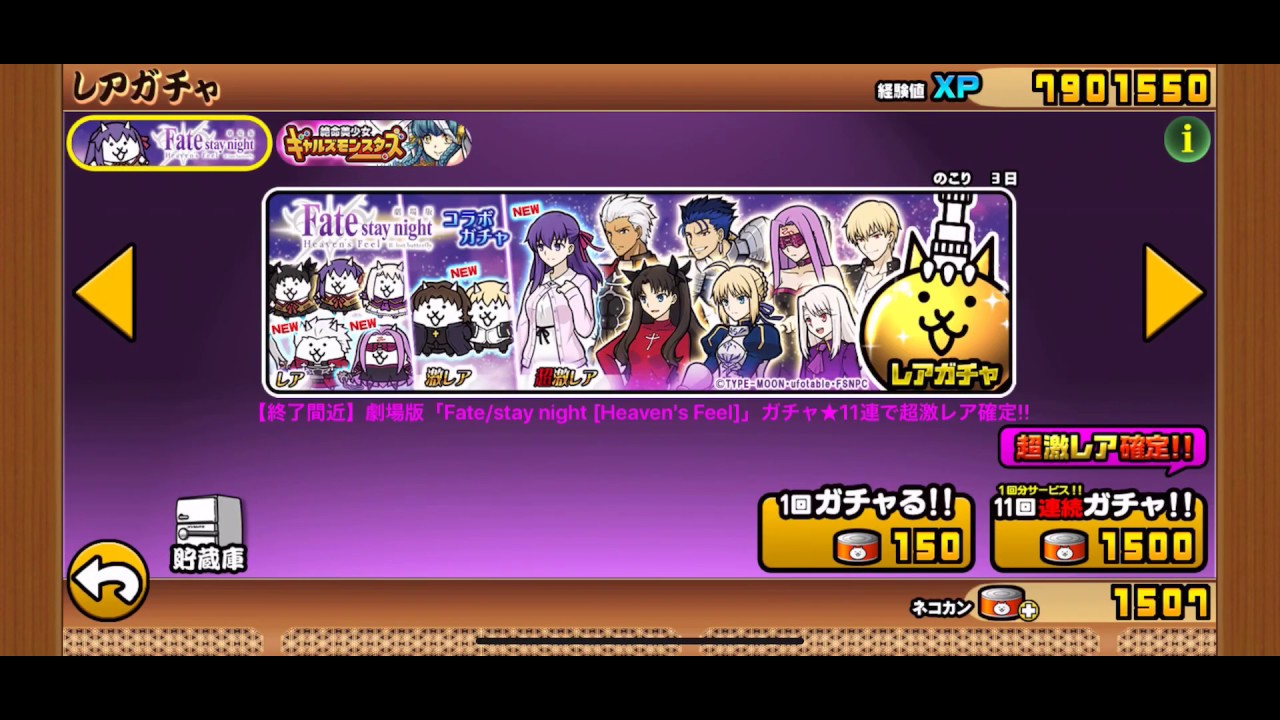 にゃんこ大好き 大放送スタジオTVチャンネル - YouTube