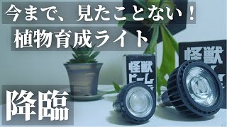 Trending] A Review of the 