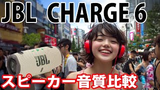 JBL CHANGE5 何回か落としており傷がありまが、音質に問題は