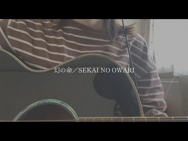 幻の命／SEKAI NO OWARI【covered byみさき】 - YouTube