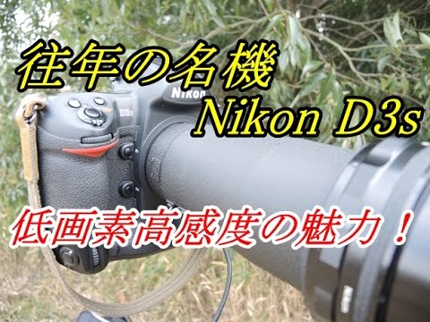 名機 Nikon D3s 写り=画素数ではない - YouTube