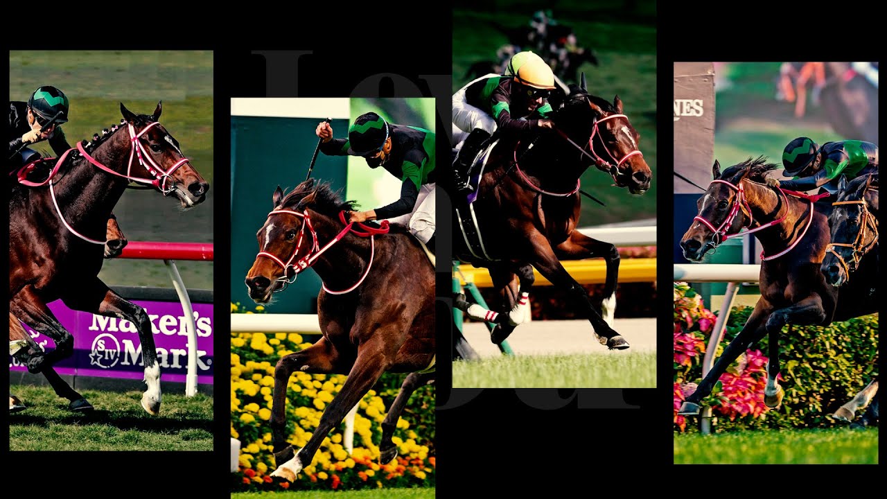 ラヴズオンリーユー】矢作芳人調教師インタビュー - YouTube