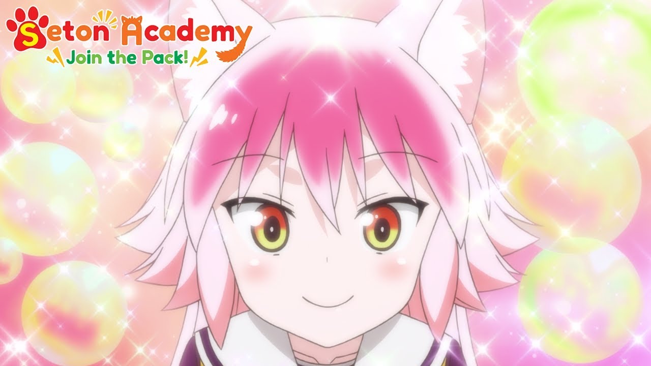 Wolf Pack | Seton Academy: Join the Pack! - YouTube