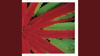 Jejune – This Afternoons Malady Lyrics | Genius Lyrics