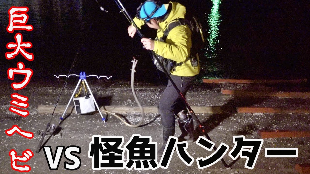 最大2メートル越え！テレビでも話題の怪魚ハンターと“砂地に潜む巨大