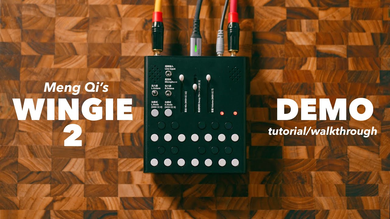 Meng Qi WINGIE 2 Resonator // Demo Tutorial Walkthrough - YouTube