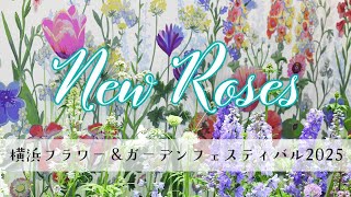 バラ図鑑 6】2025 新品種@横浜フラワー＆ガーデンフェスティバル - YouTube