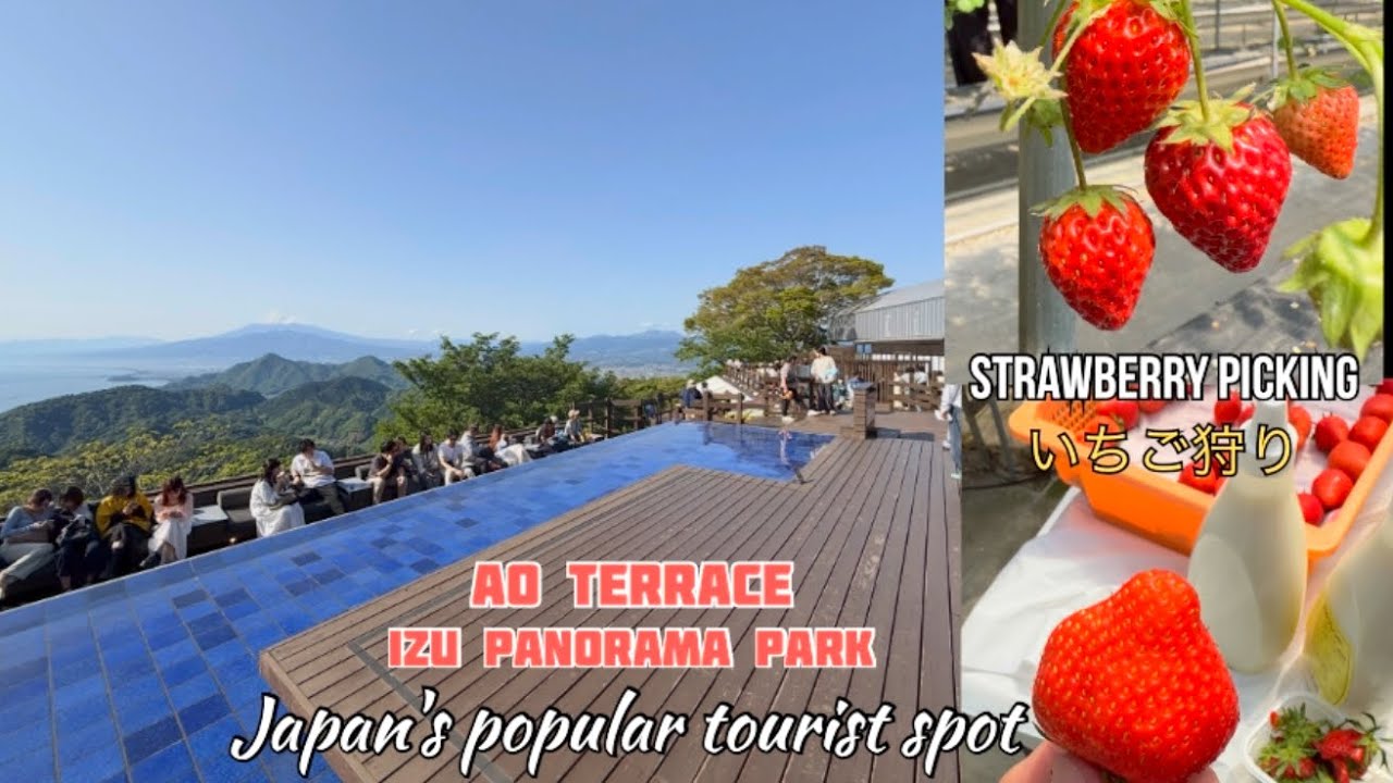 Quick tour at Ao Terrace Izu Panorama Park + strawberry picking at
